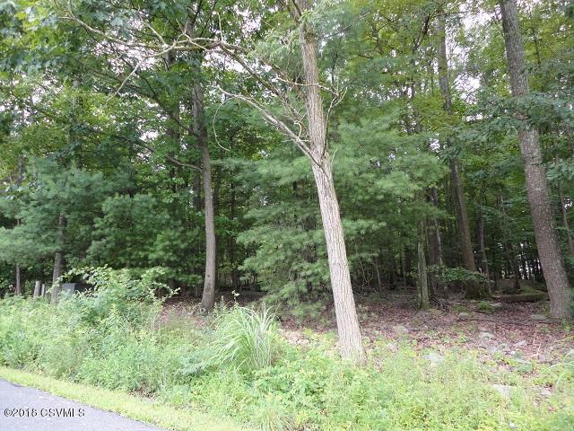 Lot 9-9a East High Street McClure, PA 17841 - Photo 5 of 5