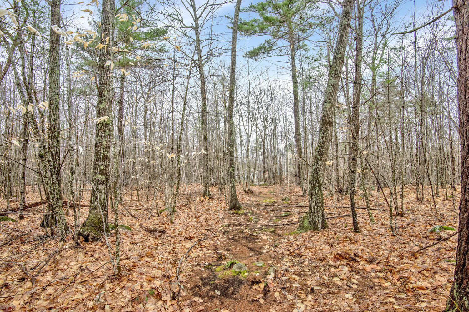 170 Dunton Road Naples, ME 04055 - Photo 30 of 41 170 Dunton Rd Naples ME 04055-large-030-