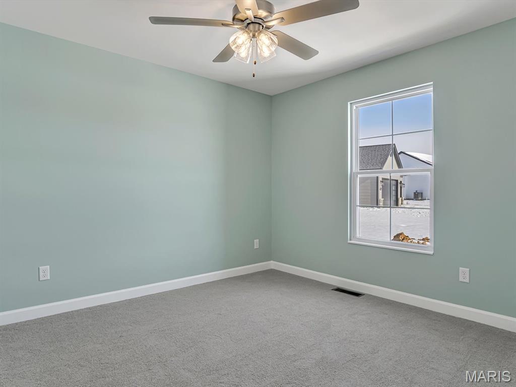 331 Jenny Court Waterloo, IL 62298 - Photo 16 of 27