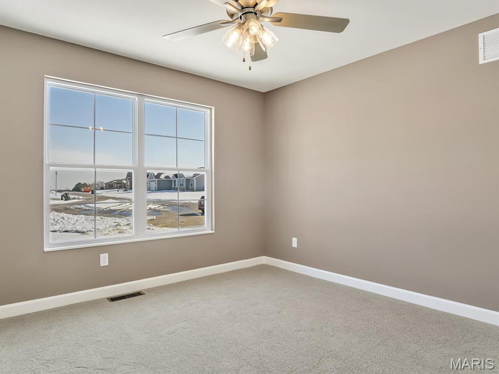 331 Jenny Court Waterloo, IL 62298 - Photo 18 of 27