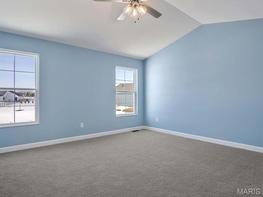 331 Jenny Court Waterloo, IL 62298 - Photo 20 of 27