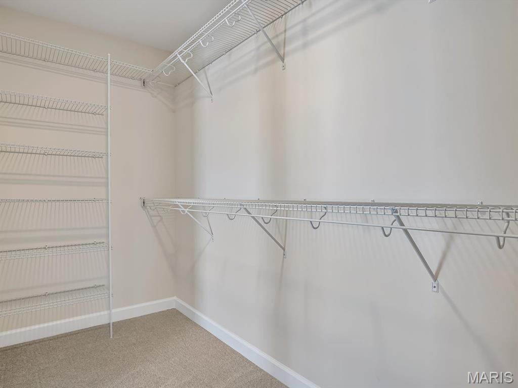 331 Jenny Court Waterloo, IL 62298 - Photo 22 of 27