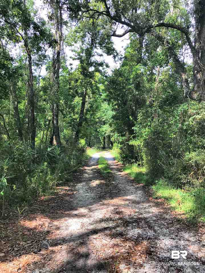 17500 Fort Morgan Road Gulf Shores, AL 36542 - Photo 3 of 30 Deep wooded lot...private
