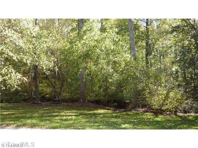4348 Witherow Road Winston-Salem, NC 27106 - Photo 16 of 16 Yard/Garden.