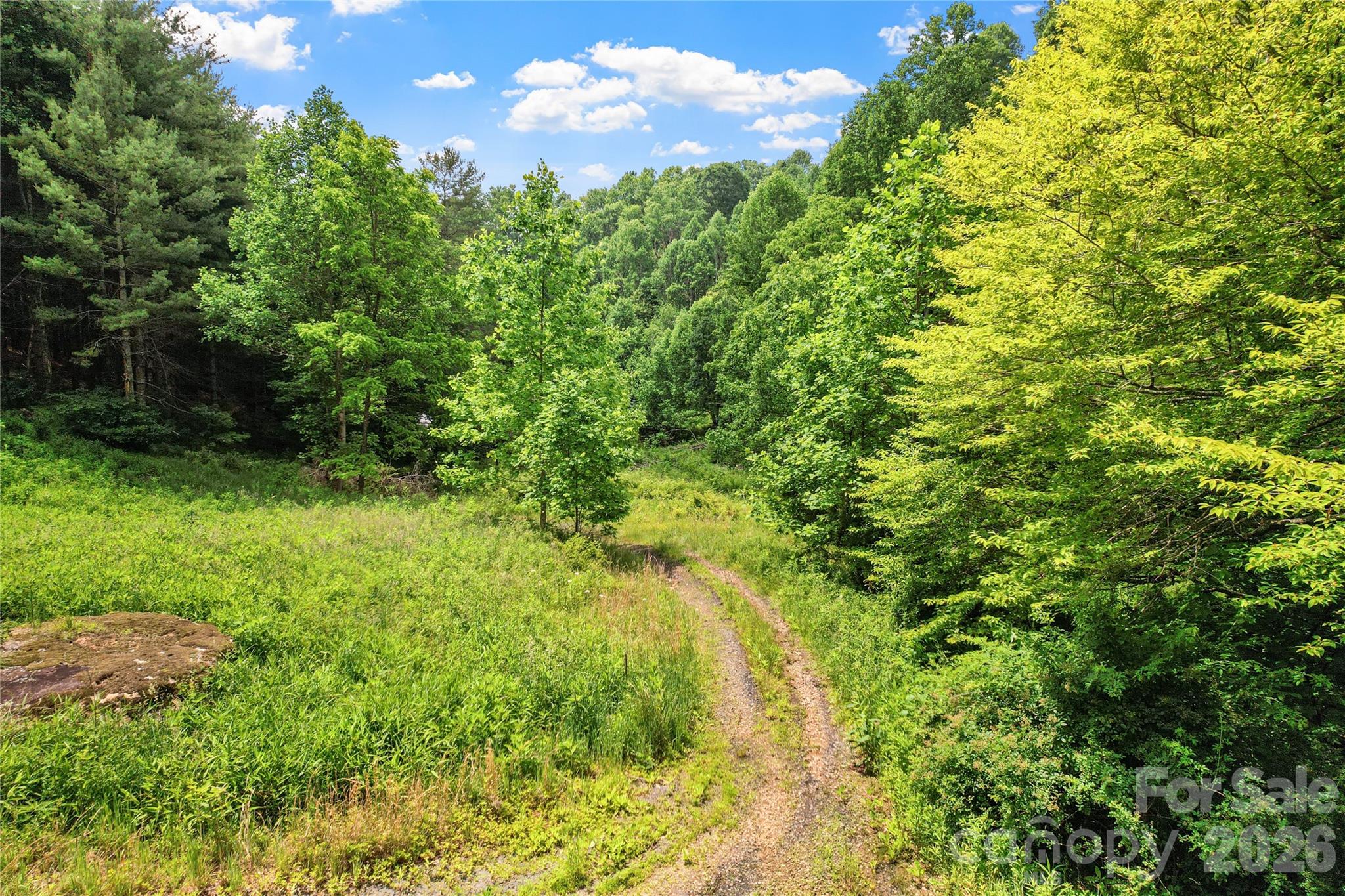 000 Bee Branch Road, Unit 14AC Bakersville, NC 28705 - Photo 6 of 19