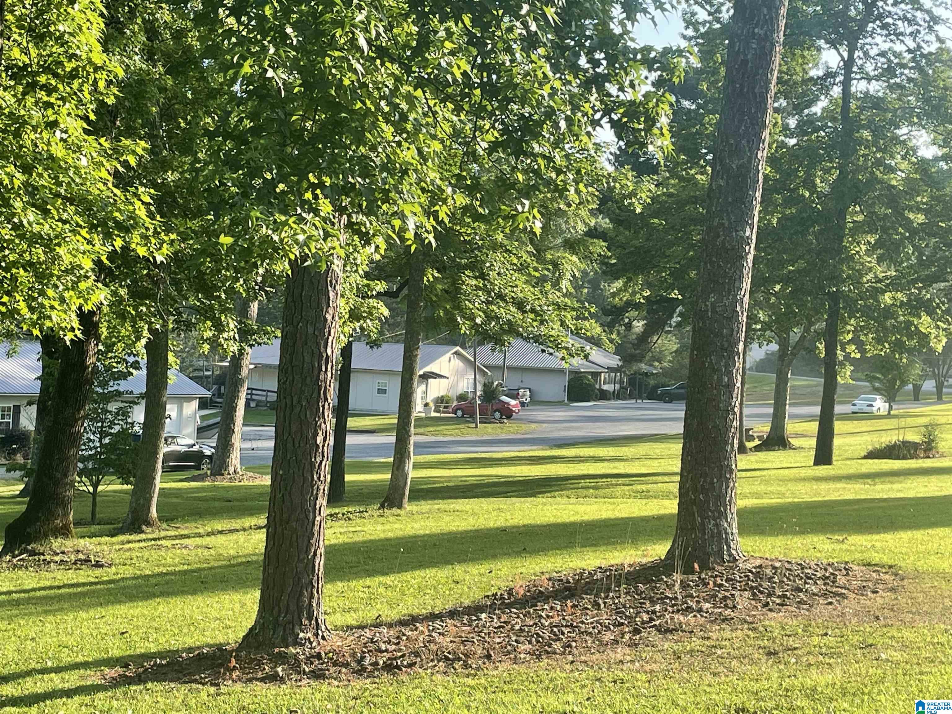 0 Kennedy Drive, Unit 16 Oneonta, AL 35121 - Photo 6 of 7