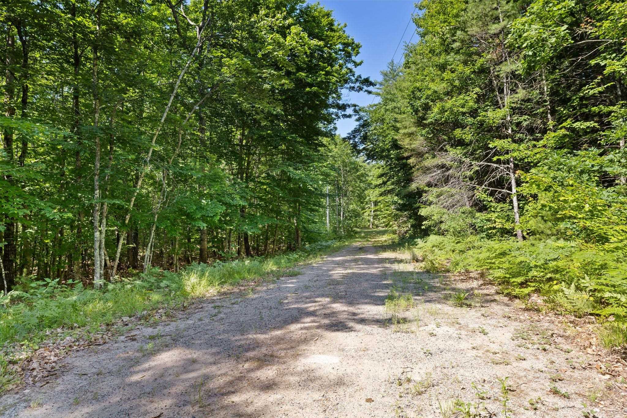 Lot 4 Parsons Road, Unit 4434 Freedom, NH 03836 - Photo 7 of 7
