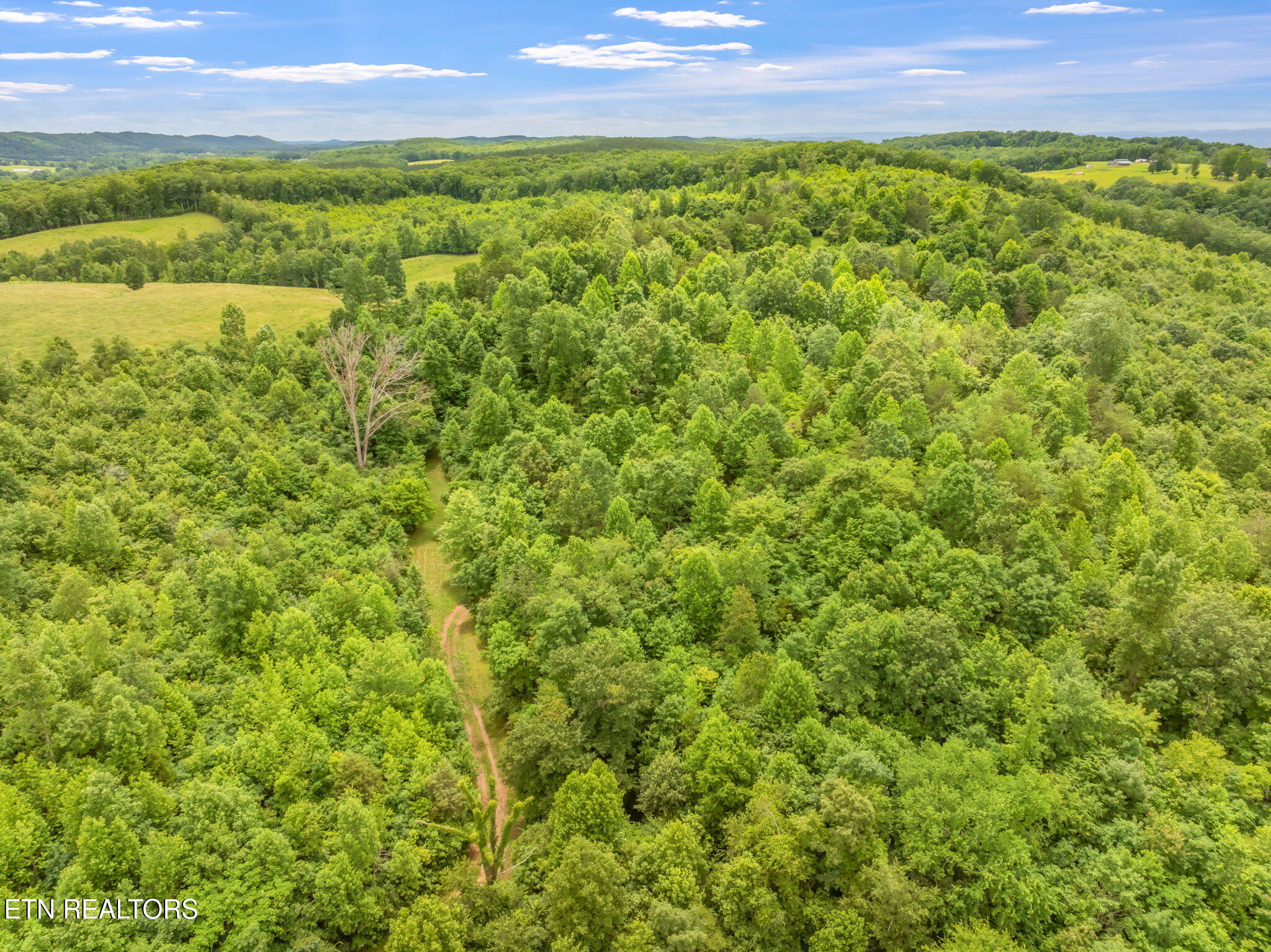 0 Grigsby Hollow Road Kingston, TN 37763 - Photo 31 of 34 31-web-or-mls-Grigsby Hollow Land-27