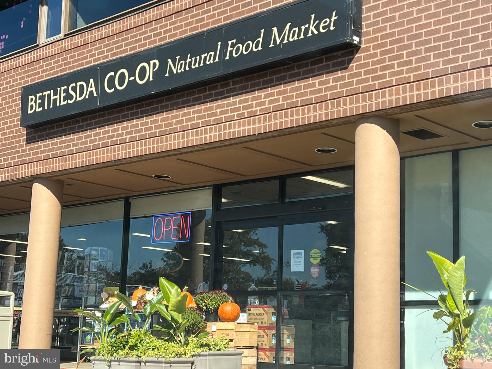 6417 83rd Place Cabin John, MD 20818 - Photo 38 of 48