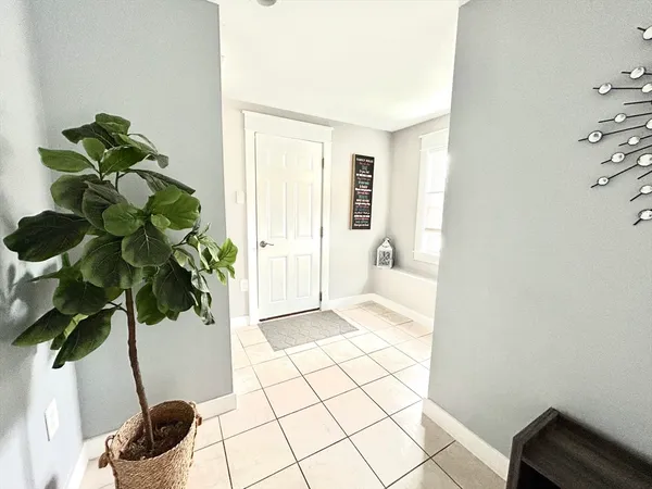 a view of a potted plant in a room