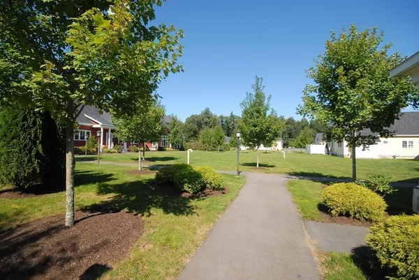 a view of a park with large trees