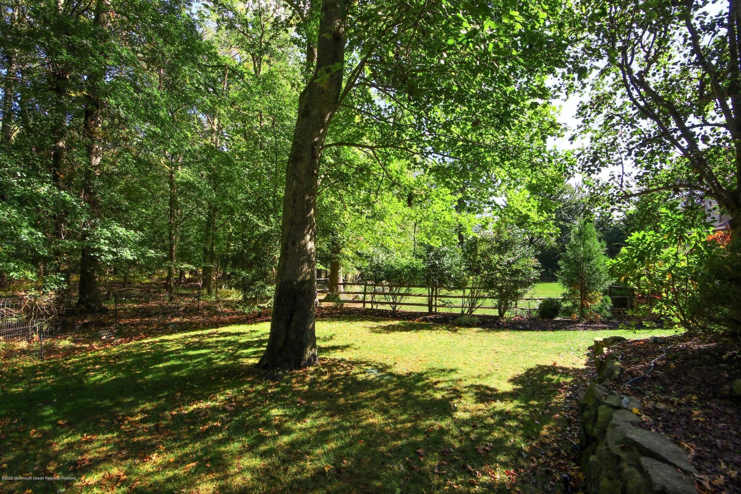 18 Daniel Drive Little Silver, NJ 07739 - Photo 50 of 55 a view of yard with green space and trees