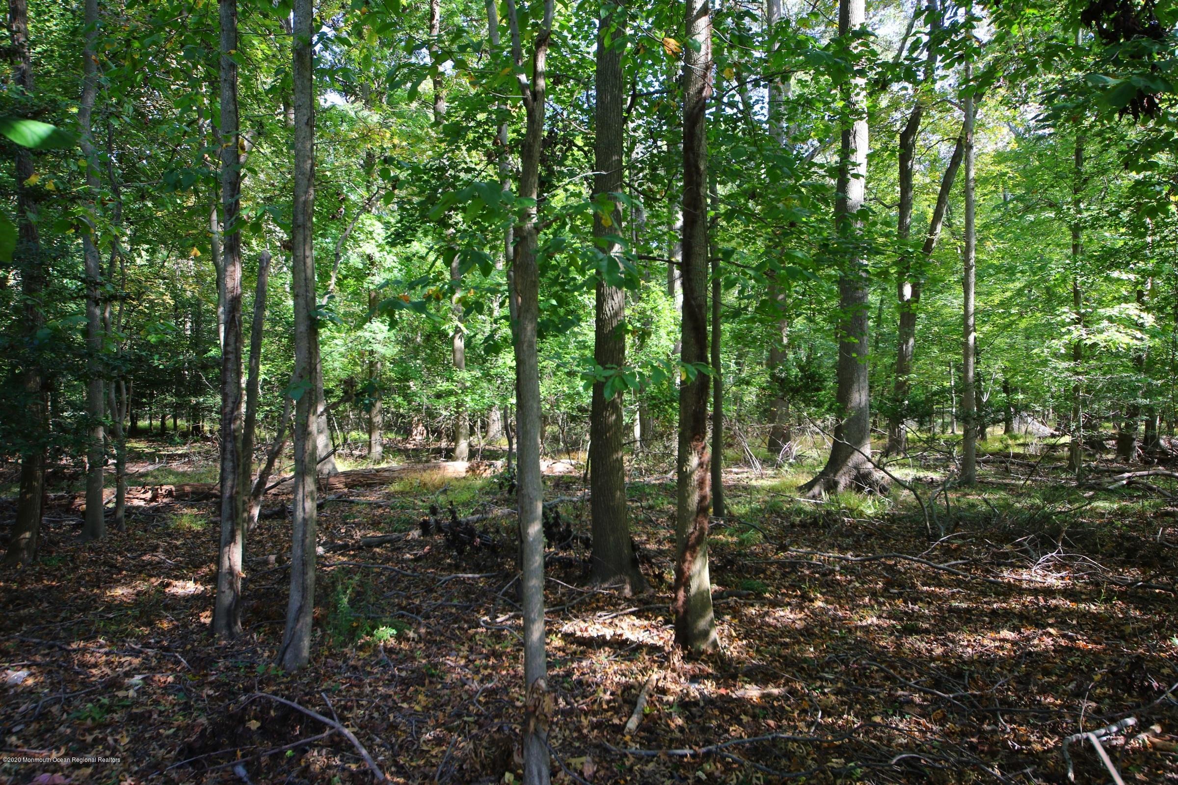 18 Daniel Drive Little Silver, NJ 07739 - Photo 51 of 55 a view of outdoor space and green space