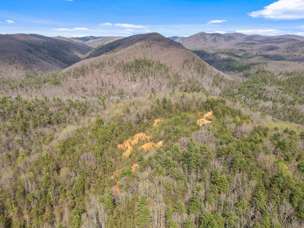 96-ac Cole Mountain Road, Unit 41 Hiwassee, VA 24347 - Photo 44 of 66 Gallery Image 44