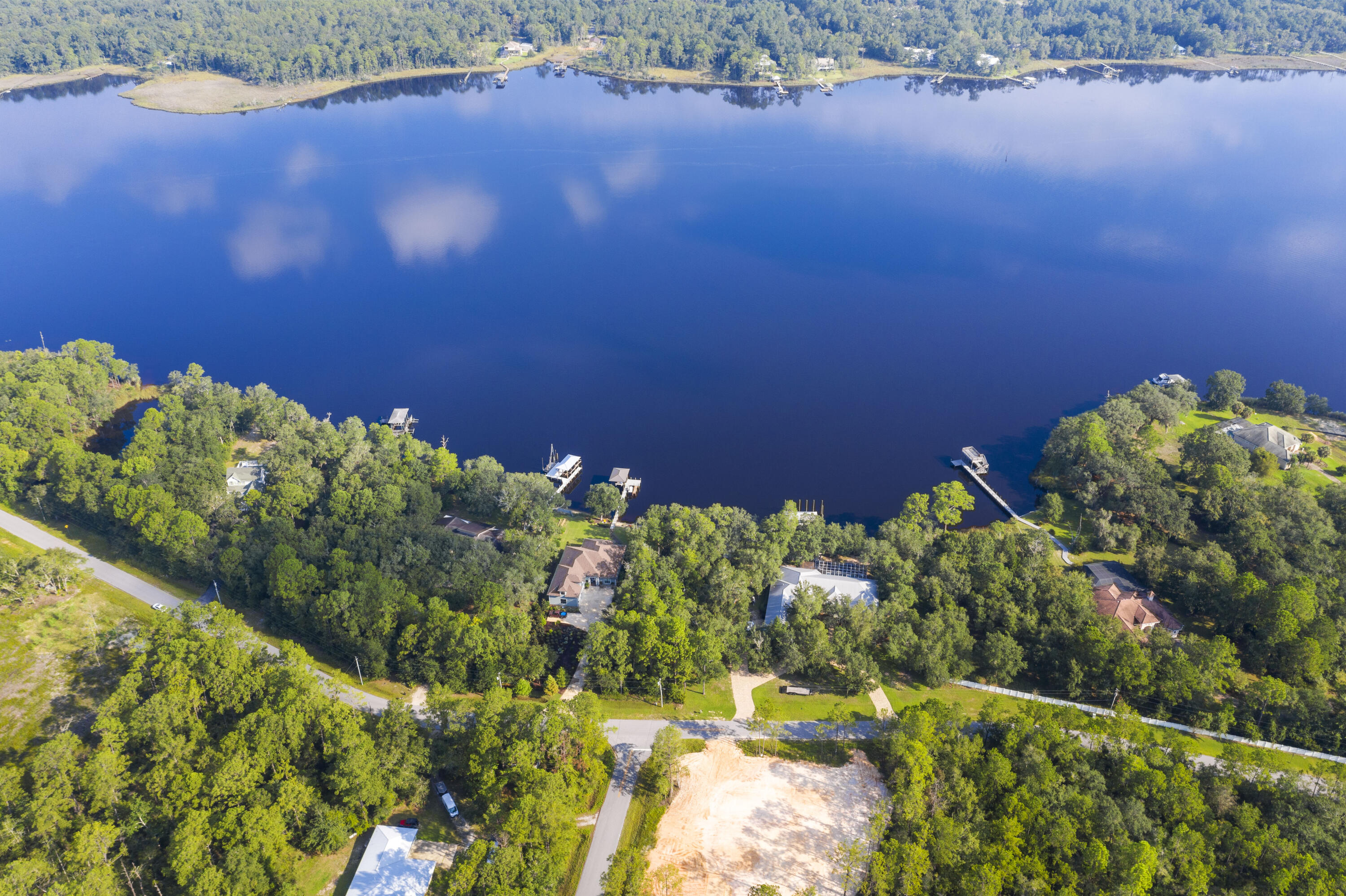 Lot 1 Lagrange Road Freeport, FL 32439 - Photo 6 of 13 a bunch of flowers in a garden