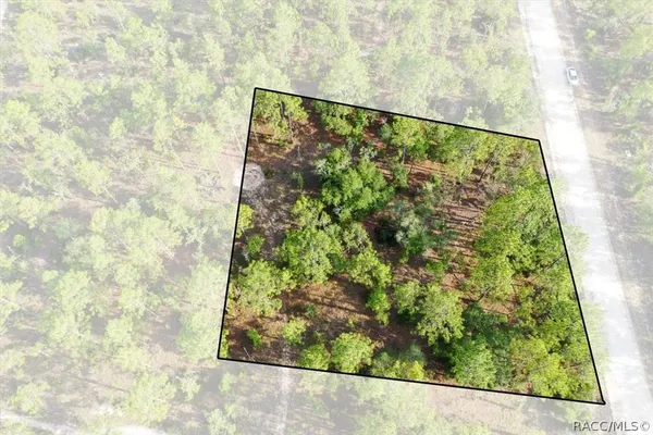 $44,000 | 0 Northeast 131st Terrace, Williston, FL 32696