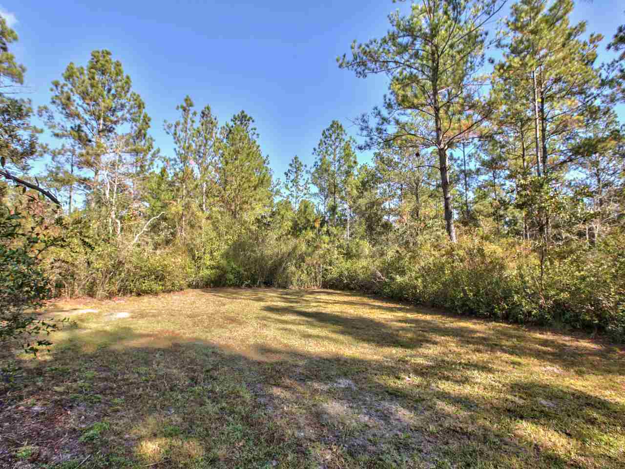 19408 Cotton Patch Road Tallahassee, FL 32310 - Photo 4 of 35 Gallery Image 4