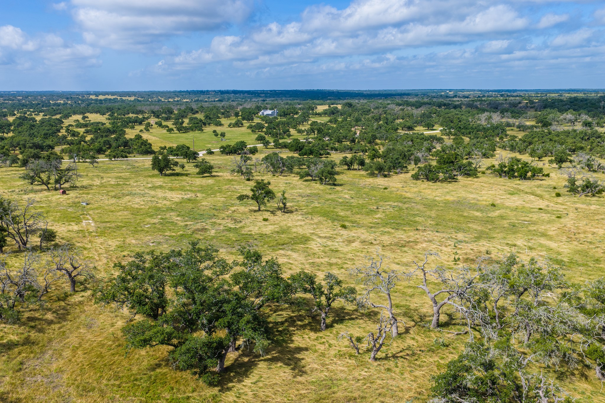 436 Stevens Ranch Road Harper, TX 78631 - Photo 28 of 31 Mature trees and open pastures stretch across this expansive countryside landscape.