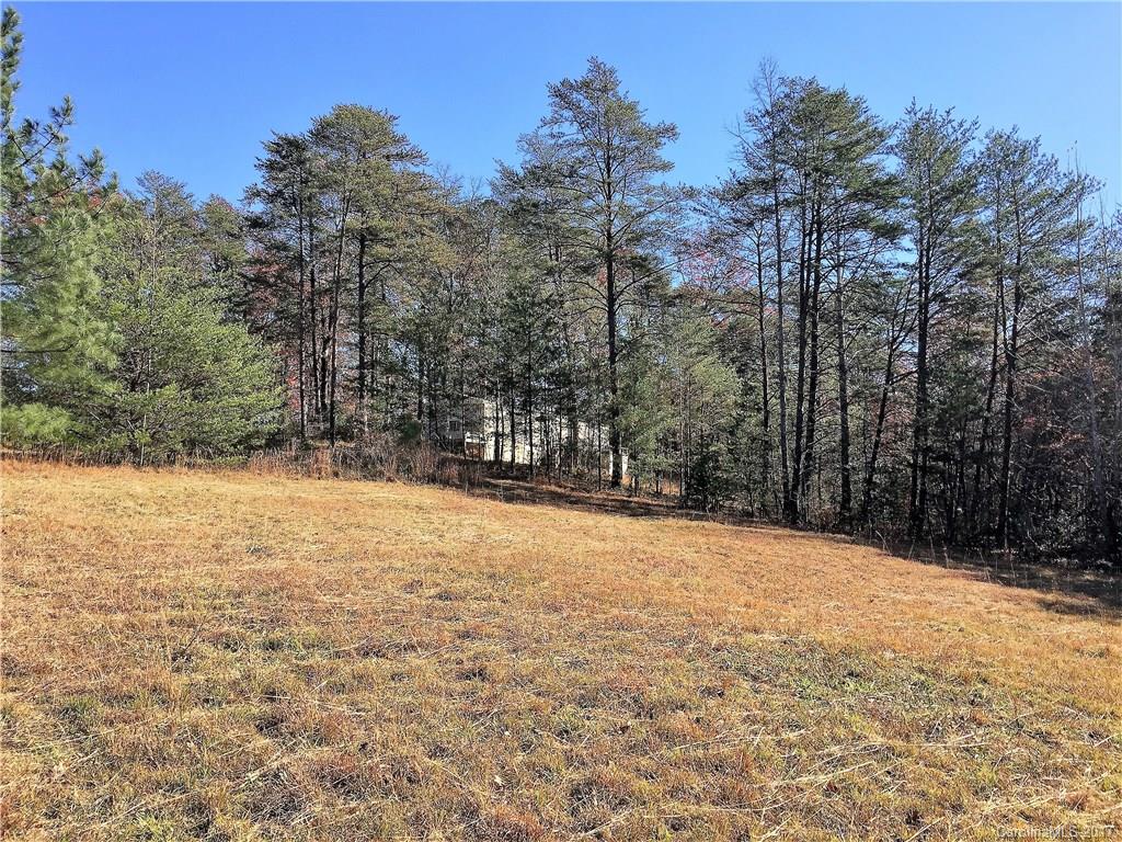 76 Lighthouse Lane Mill Spring, NC 28756 - Photo 22 of 23 Gallery Image 22