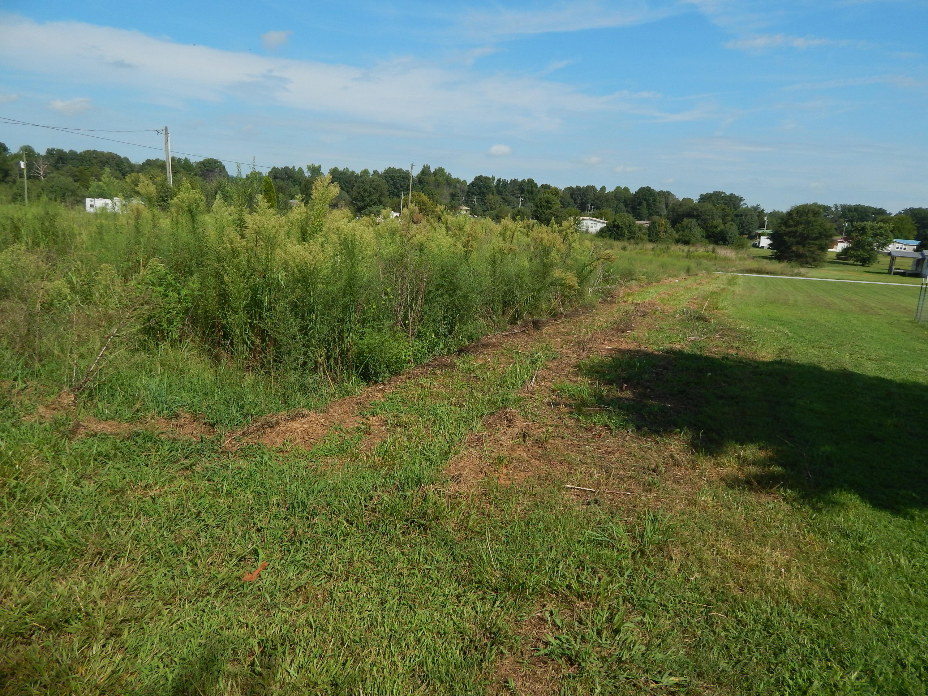 1105 South Gate Road Madisonville, TN 37354 - Photo 3 of 6 DSCN3082