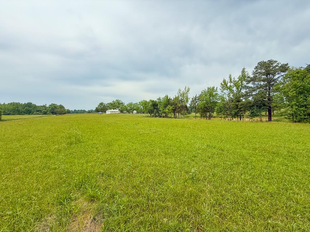 8820 Nutbush Road Green Bay, VA 23942 - Photo 60 of 70 Gallery Image 60