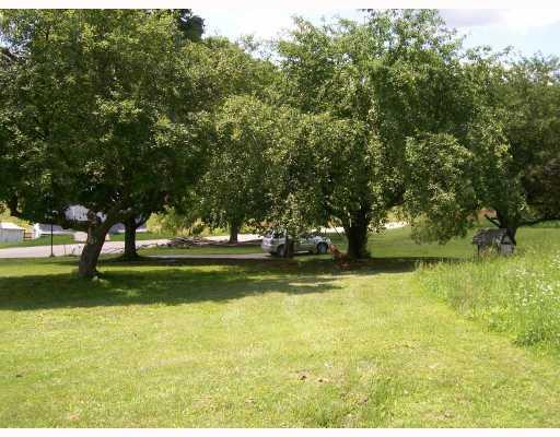 76 Chestnut Ridge Road Washington, PA 15301 - Photo 6 of 8 Exterior Back. Apple trees near parking area