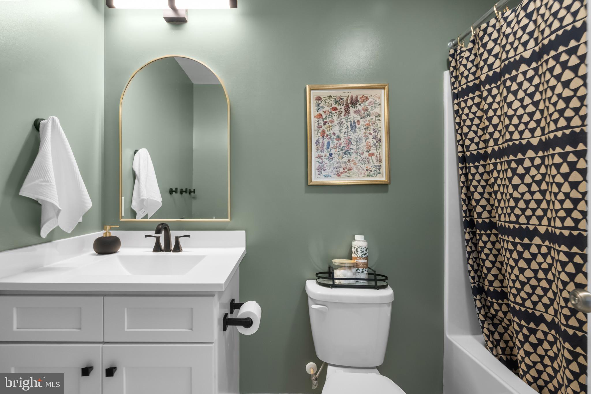 733 Red Bird Lane Harpers Ferry, WV 25425 - Photo 11 of 29 a bathroom with a sink mirror vanity and toilet