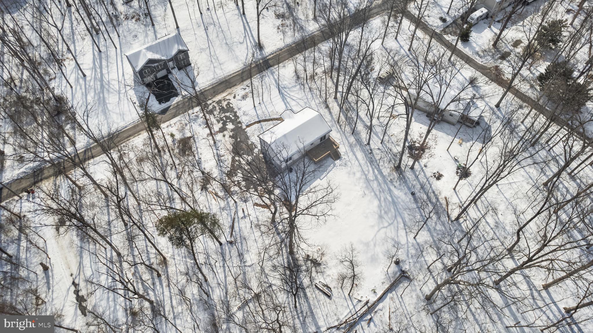 733 Red Bird Lane Harpers Ferry, WV 25425 - Photo 28 of 29 a view of tree in front of a house