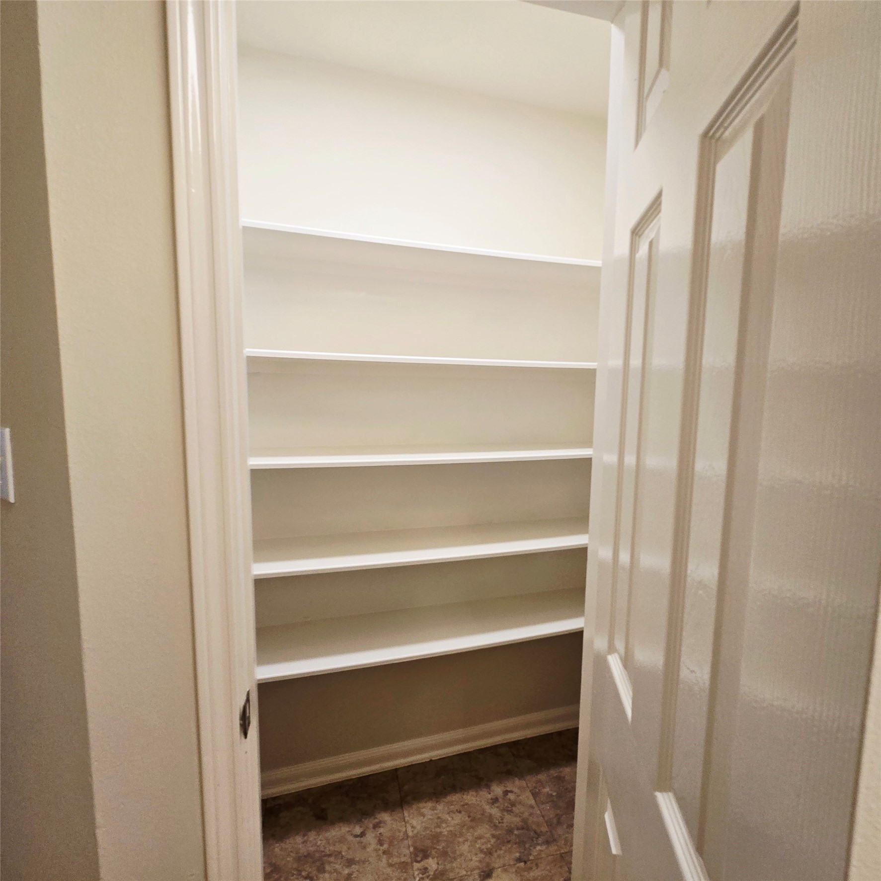 6411 Slate Stone Street Houston, TX 77084 - Photo 28 of 38 Spacious pantry with multiple shelves and freshly painted.