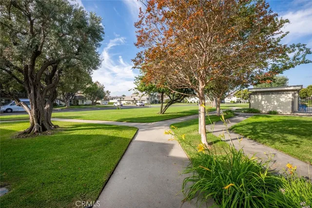 a view of a park with large trees