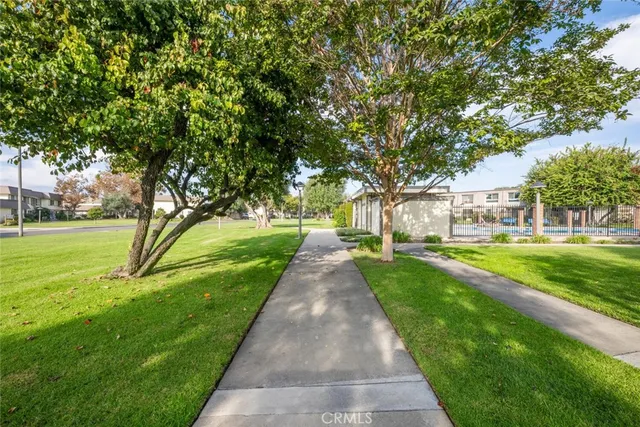 a view of a garden with large trees