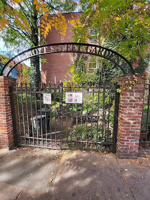 340 Atlantic Avenue, Unit 2L Brooklyn, NY 11201 - Photo 10 of 12 a view of a street with a tree in the background