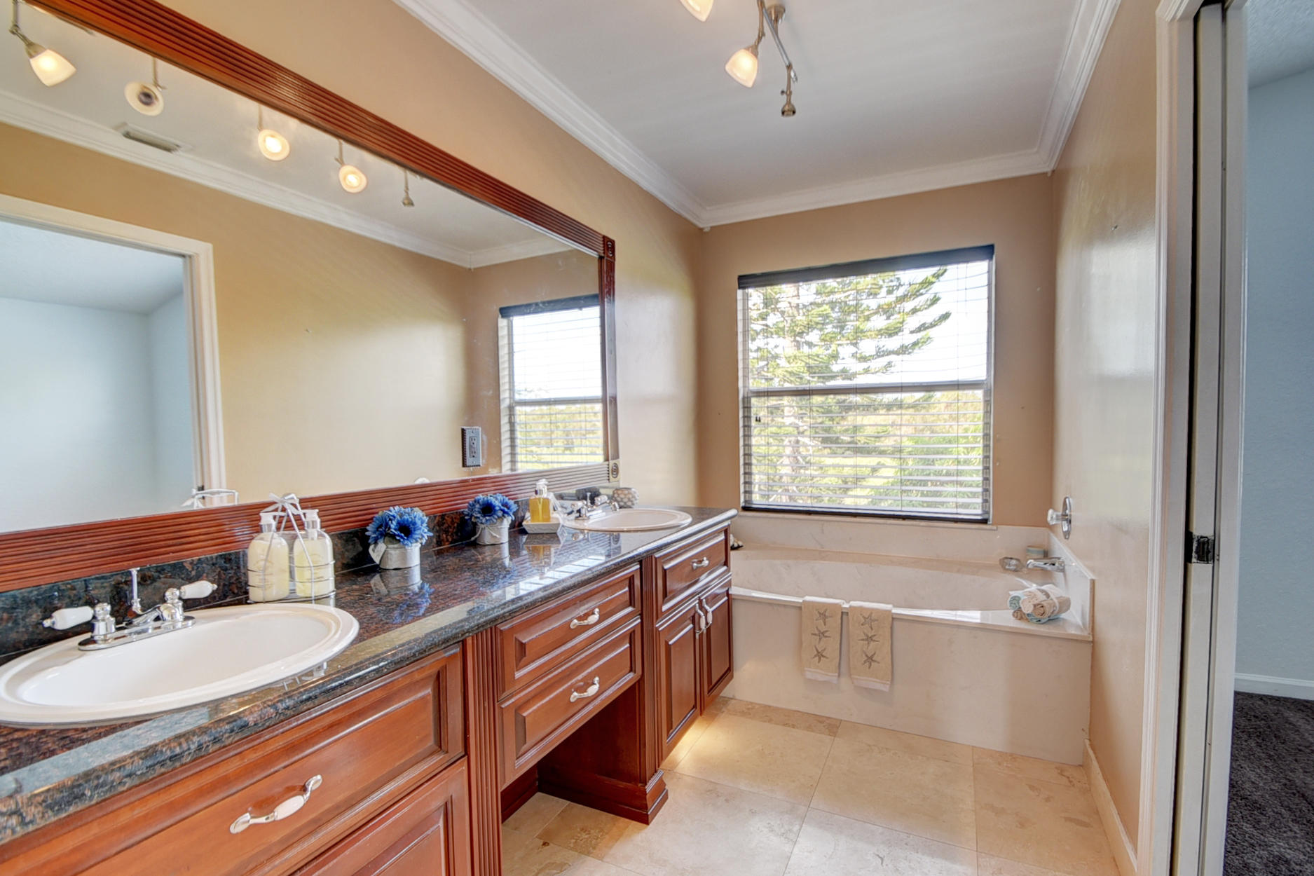 18098 Clear Brook Circle Boca Raton, FL 33498 - Photo 29 of 48 a bathroom with a granite countertop tub sink and mirror