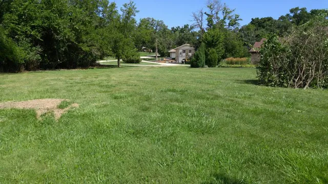a view of a green yard
