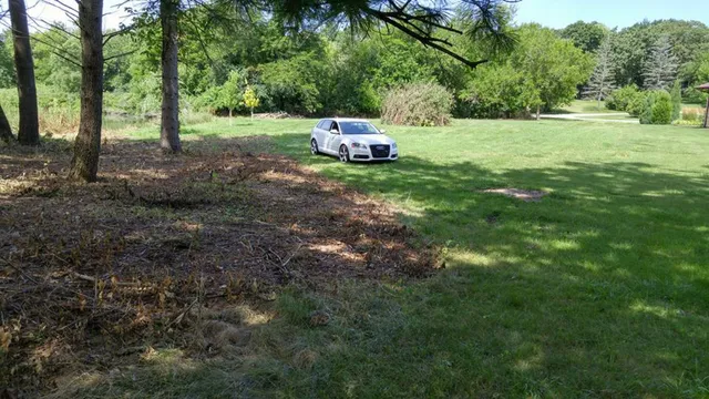 a view of a backyard with large trees