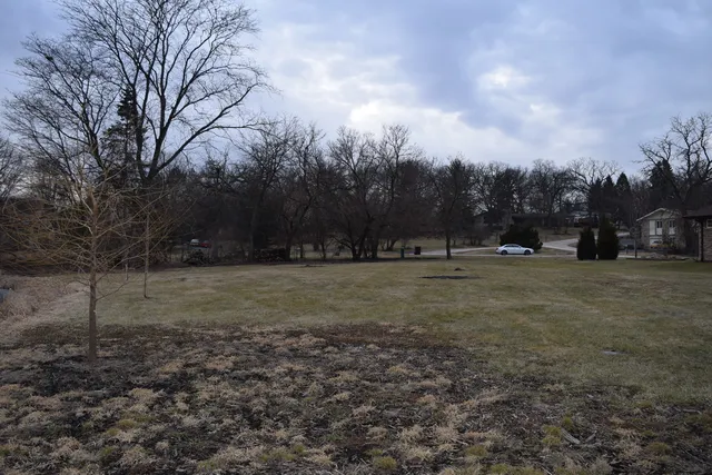a view of outdoor space with trees