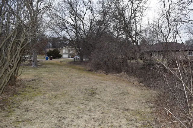 a view of a yard with trees