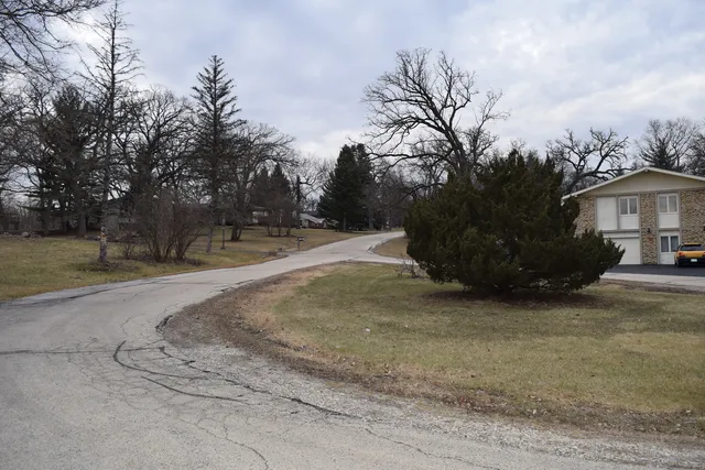 a view of a yard with plants and trees