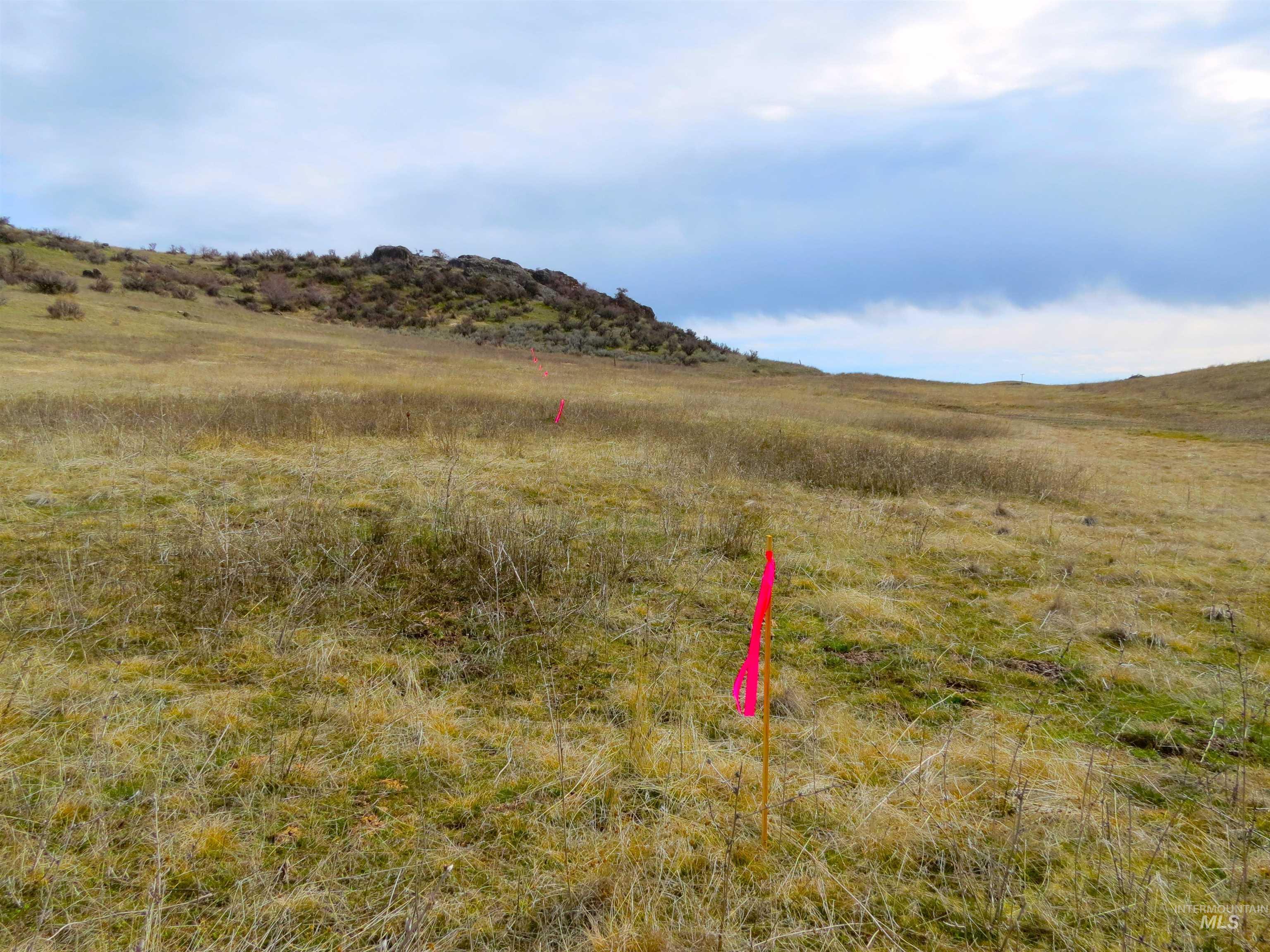 Parcel A Timber Flt Road Ola, ID 83657 - Photo 25 of 36