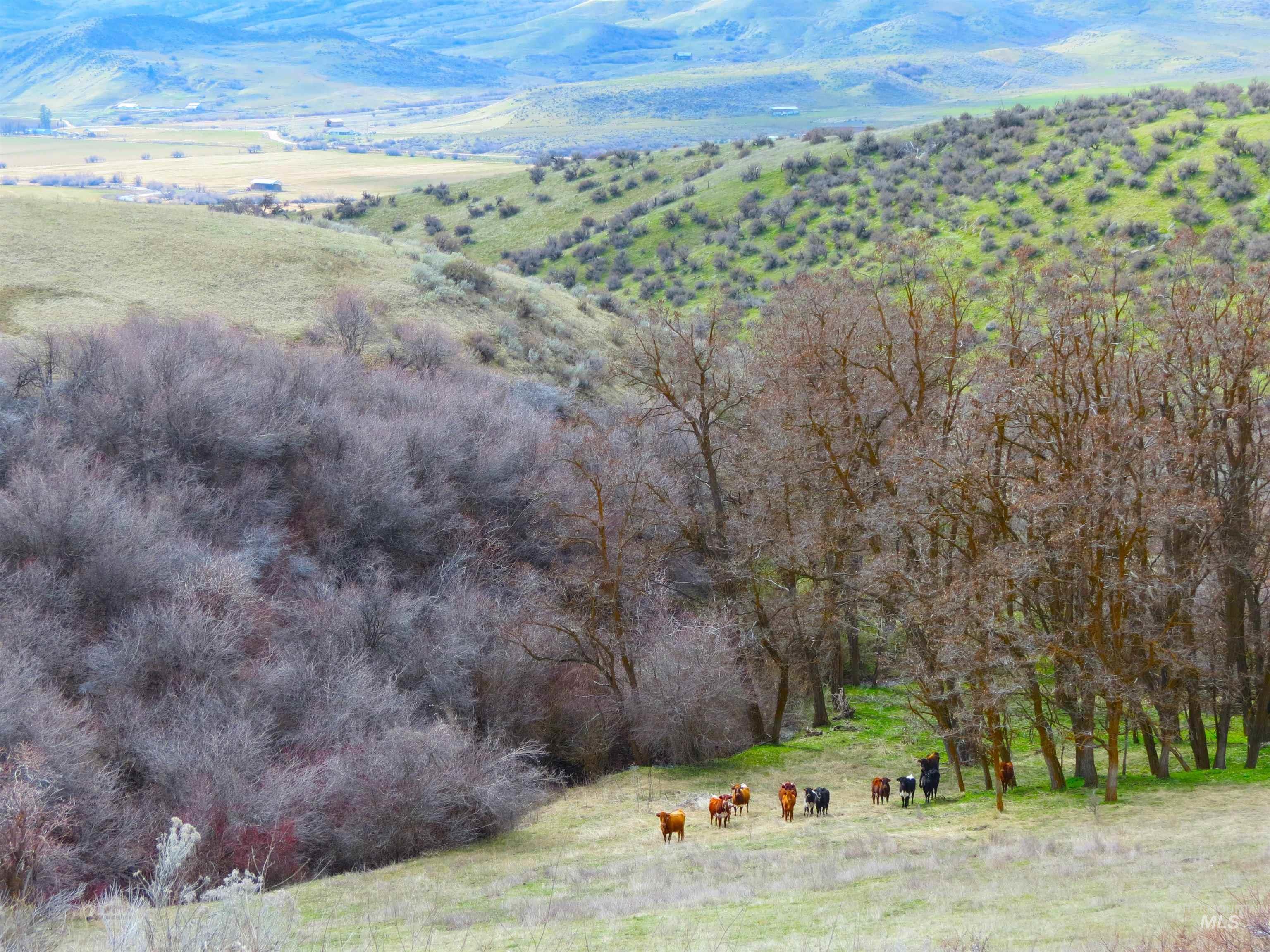 Parcel A Timber Flt Road Ola, ID 83657 - Photo 27 of 36