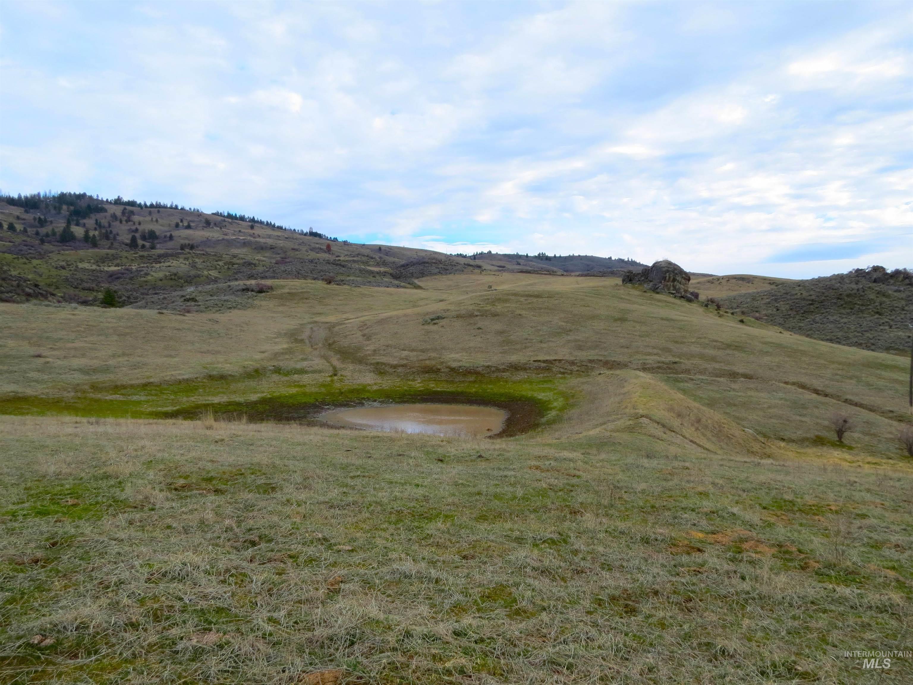 Parcel A Timber Flt Road Ola, ID 83657 - Photo 33 of 36
