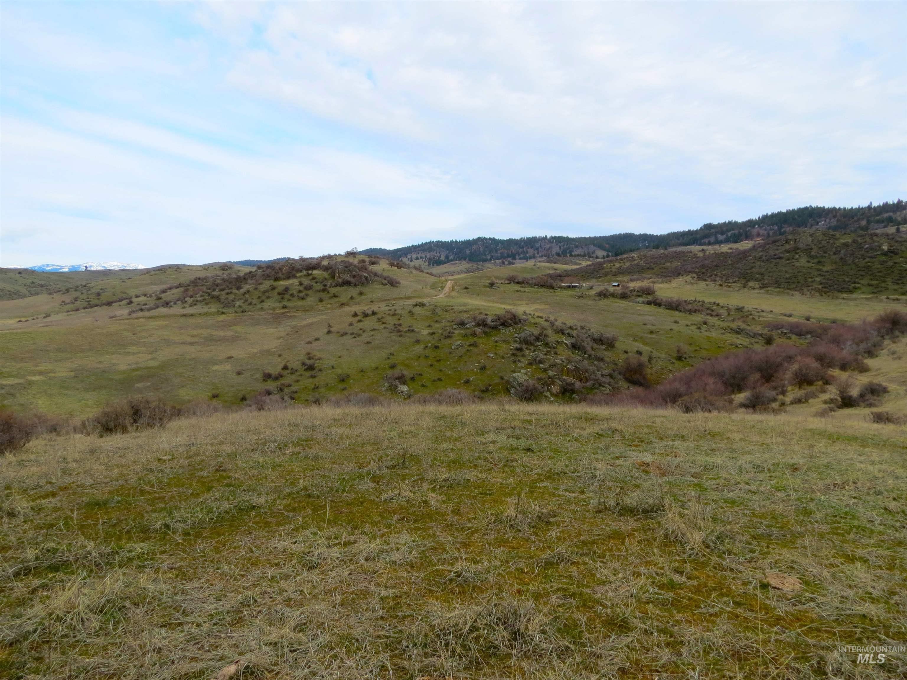 Parcel A Timber Flt Road Ola, ID 83657 - Photo 34 of 36