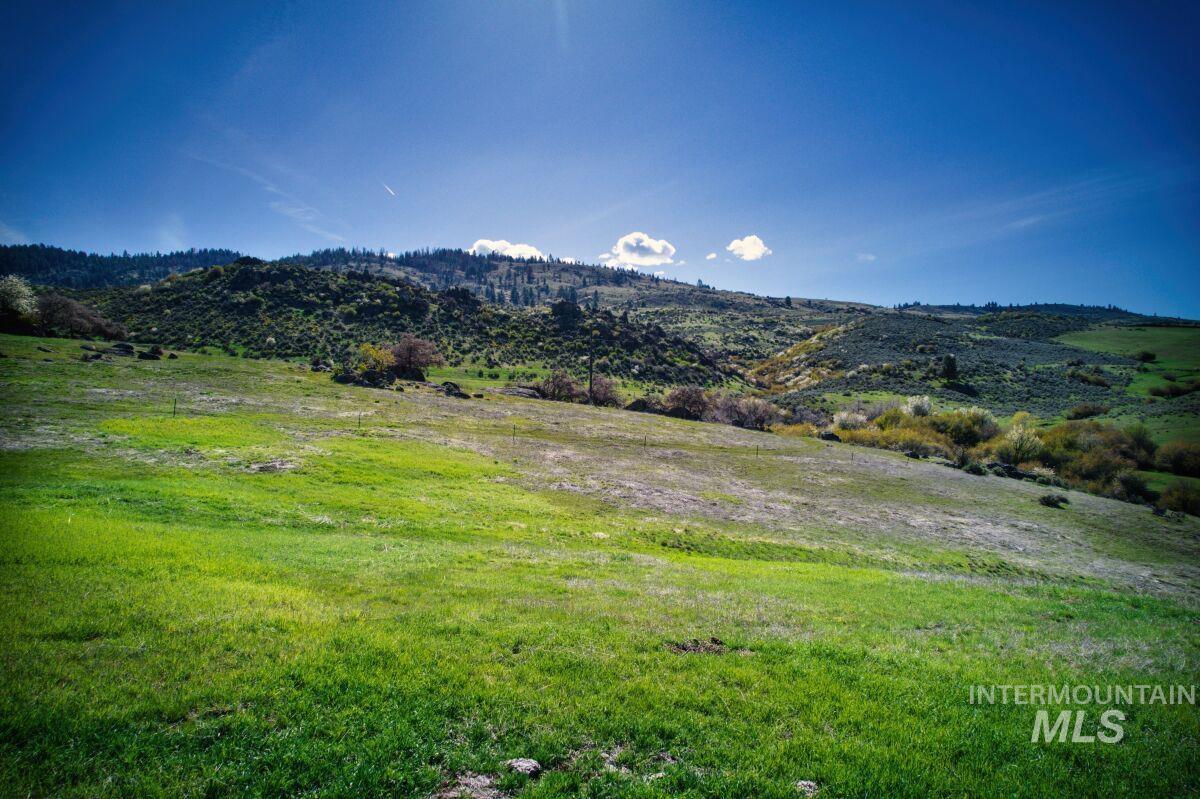 Parcel A Timber Flt Road Ola, ID 83657 - Photo 4 of 36