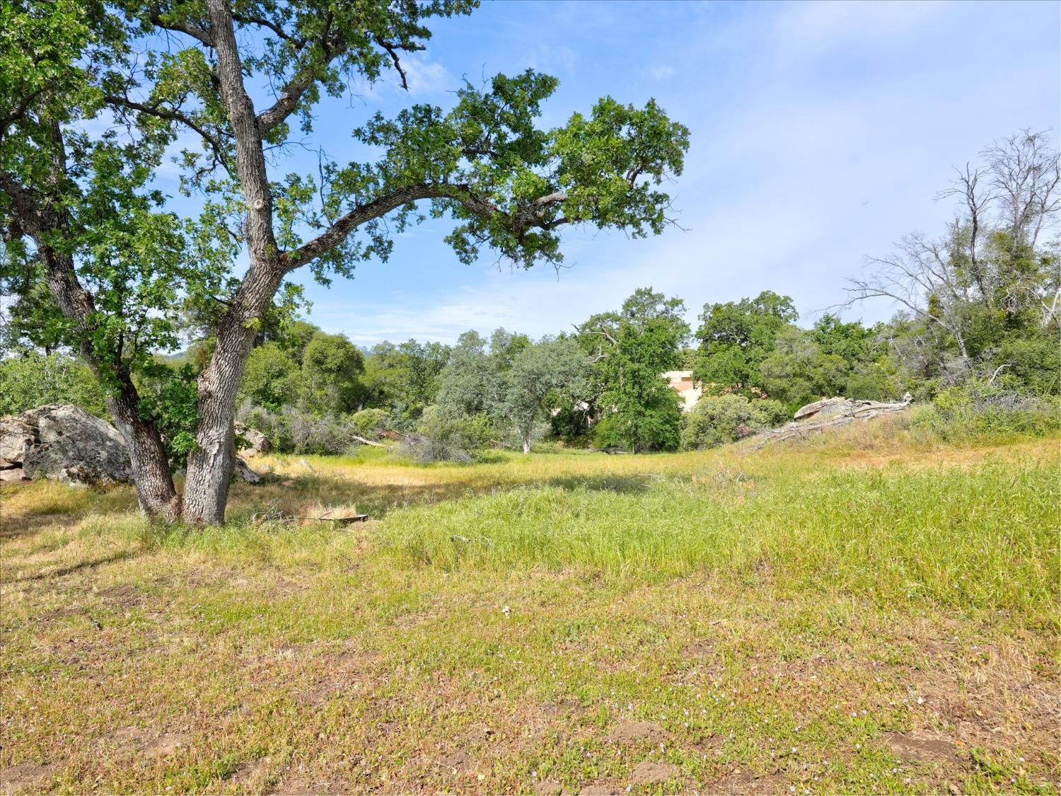 45577 Meadow Brook Road Coarsegold, CA 93614 - Photo 49 of 55