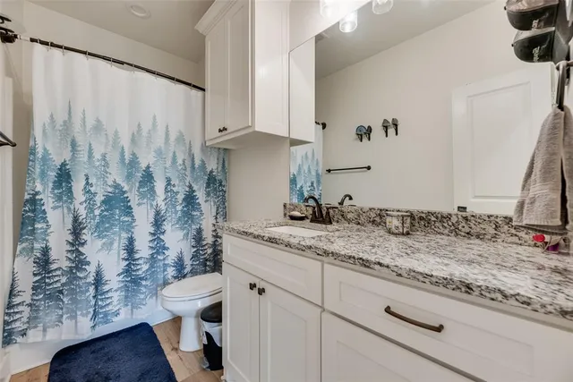 a bathroom with a granite countertop sink and a toilet