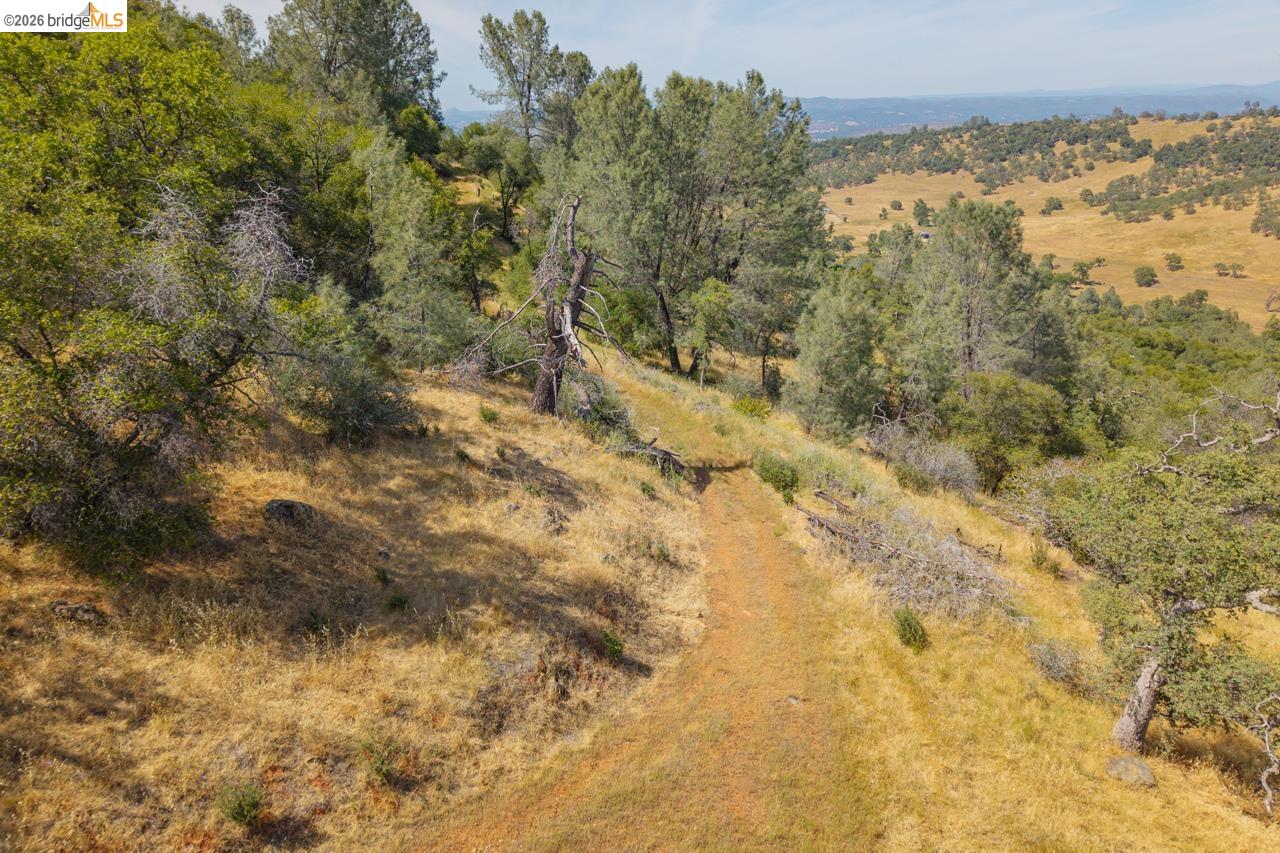 0 Pool Station Road Angels Camp, CA 95222 - Photo 8 of 28