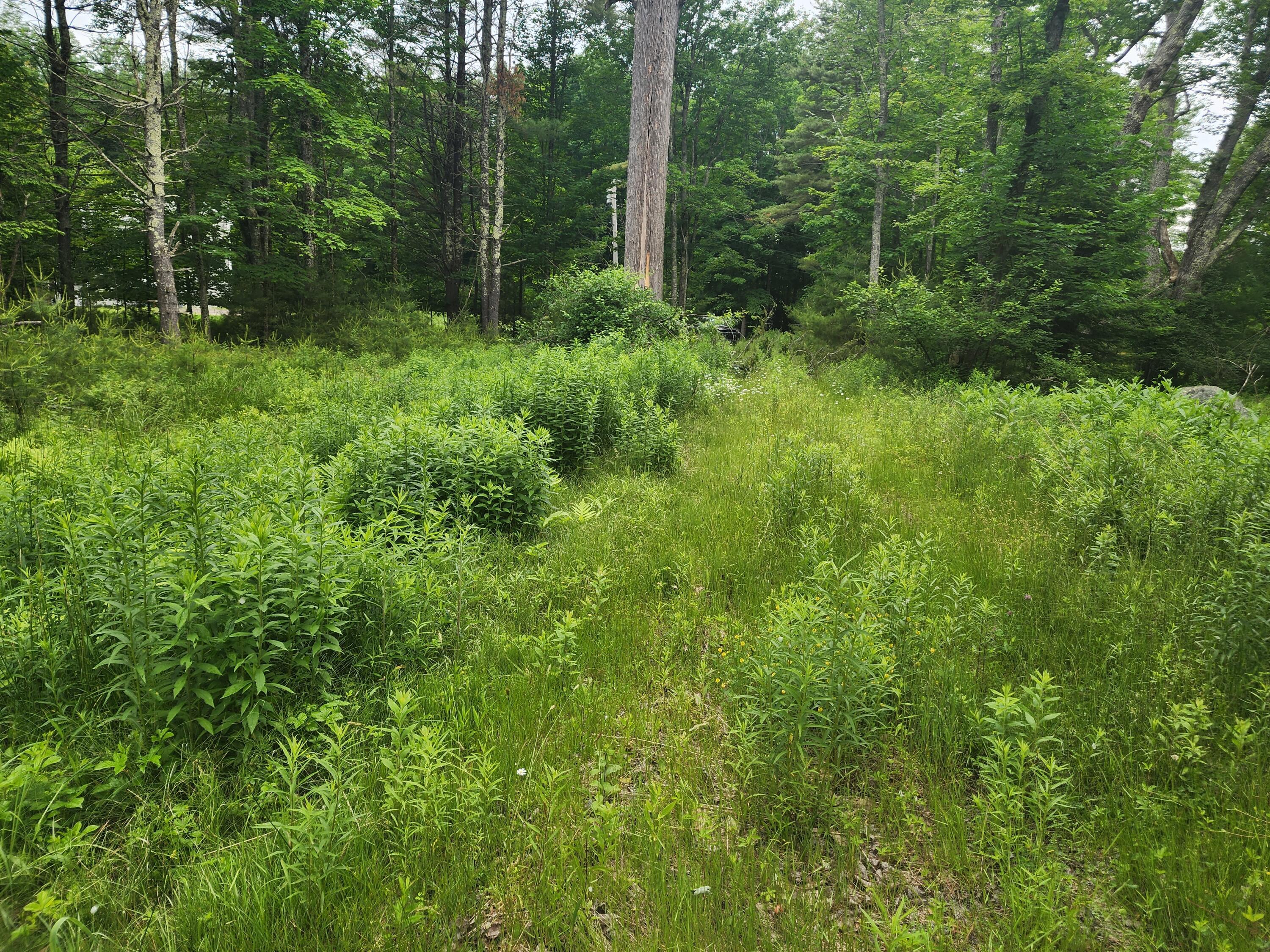 28 Marshall Valley Road Windham, ME 04062 - Photo 5 of 5 20240614_104640