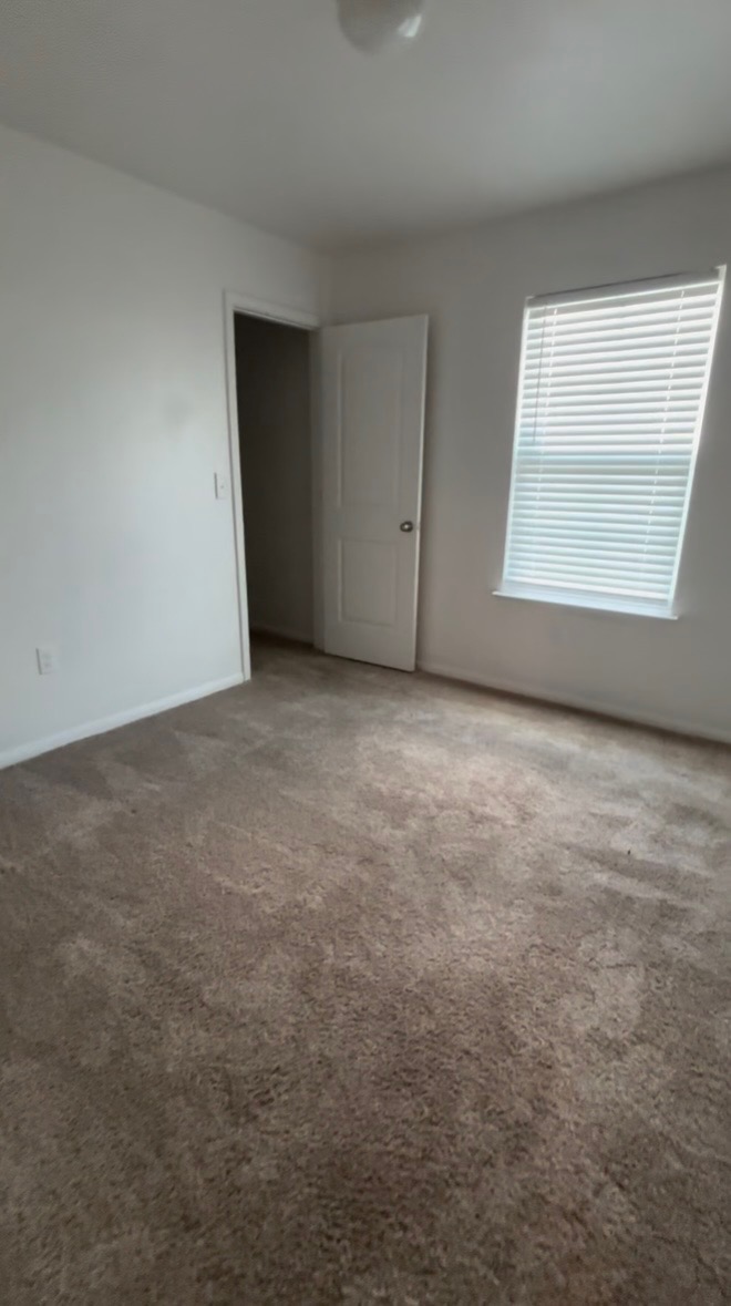 137 Rafe Court Kyle, TX 78640 - Photo 8 of 8 A well-lit bedroom features plush carpeting and convenient closet access.