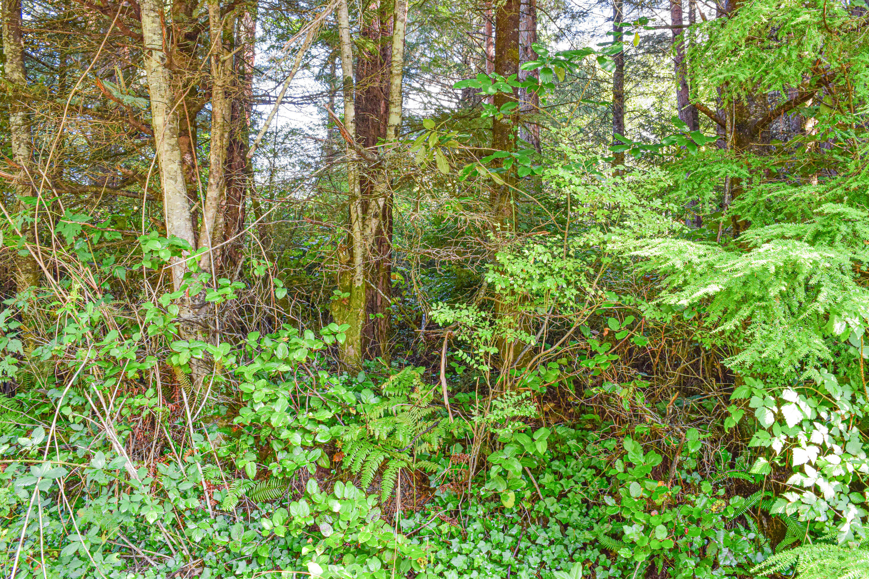 3174 Northeast East Line Road Yachats, OR 97498 - Photo 12 of 12 DeBell 13