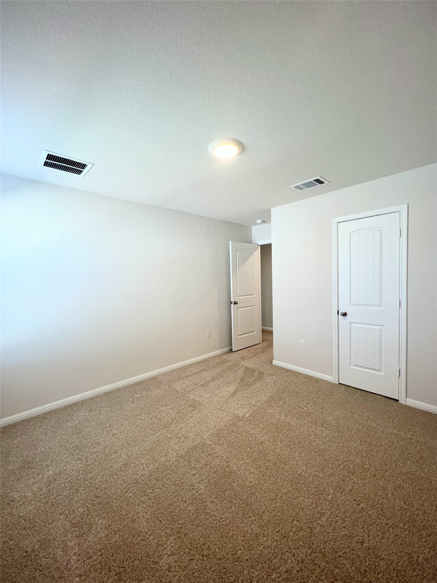 2409 Corriente Path Leander, TX 78641 - Photo 30 of 34